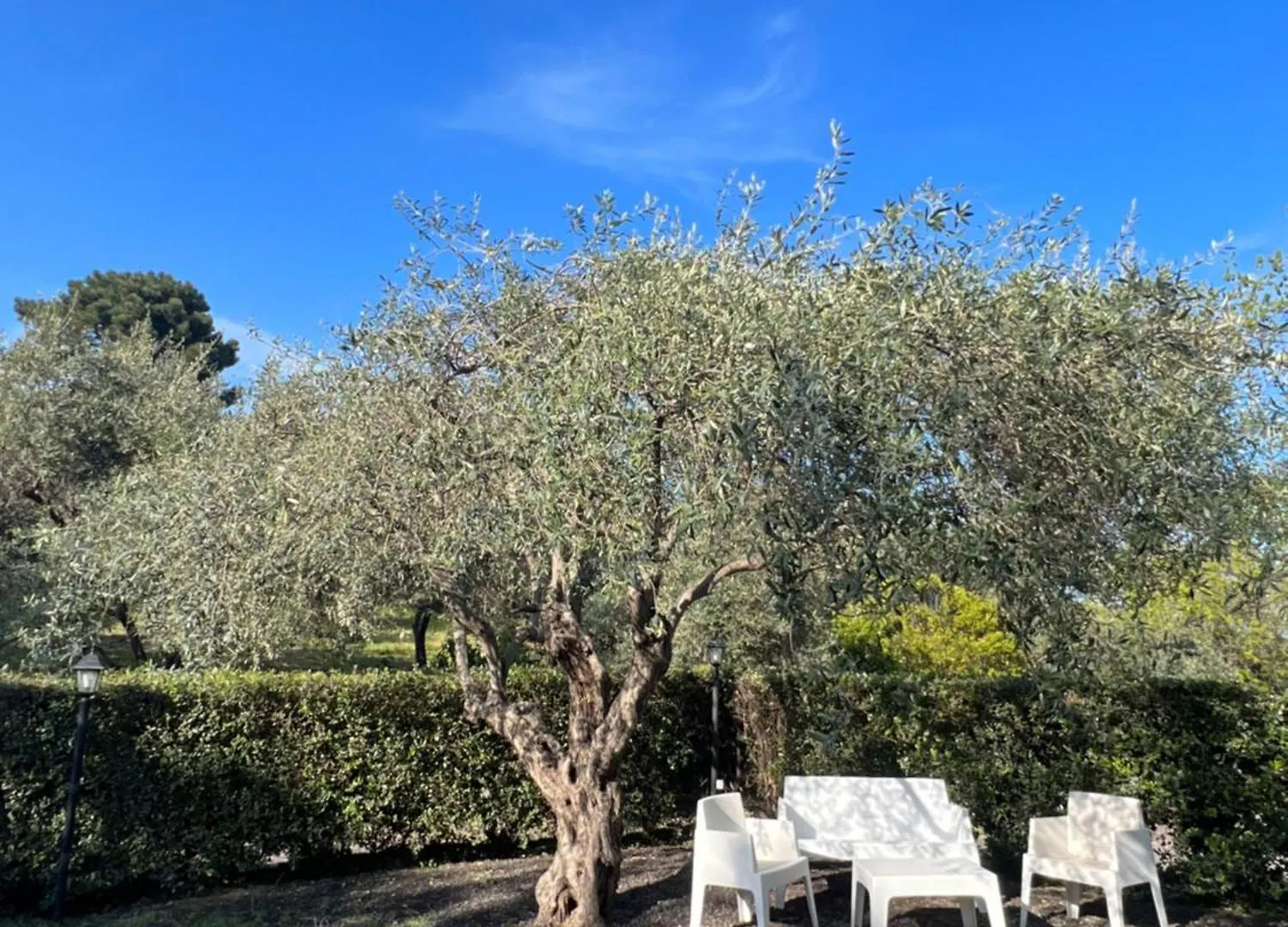 Country House Etna Glicine Piedimonte Etneo